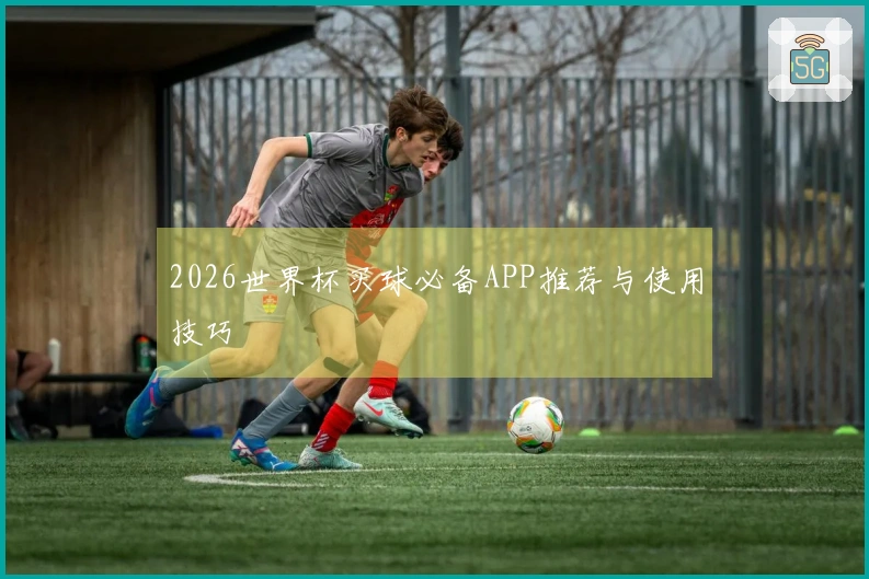 2026世界杯买球必备APP推荐与使用技巧