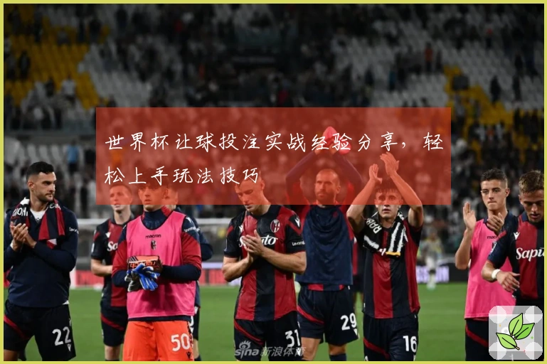 世界杯让球投注实战经验分享，轻松上手玩法技巧