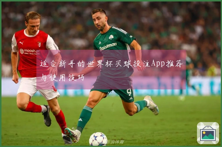 适合新手的世界杯买球投注App推荐与使用技巧