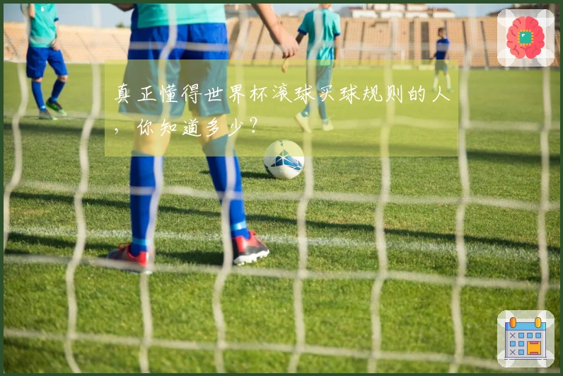 真正懂得世界杯滚球买球规则的人，你知道多少？