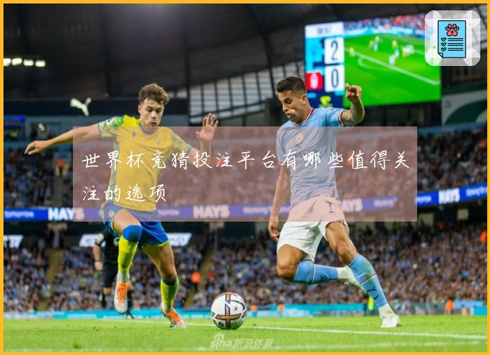 世界杯竞猜投注平台有哪些值得关注的选项