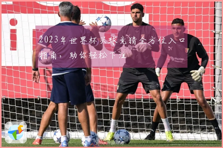 2023年世界杯买球竞猜全方位入口指南，助你轻松下注