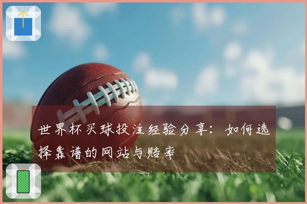 世界杯买球投注经验分享：如何选择靠谱的网站与赔率