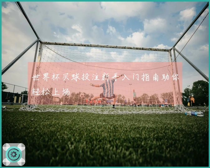 世界杯买球投注新手入门指南助你轻松上场