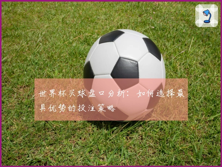 世界杯买球盘口分析：如何选择最具优势的投注策略