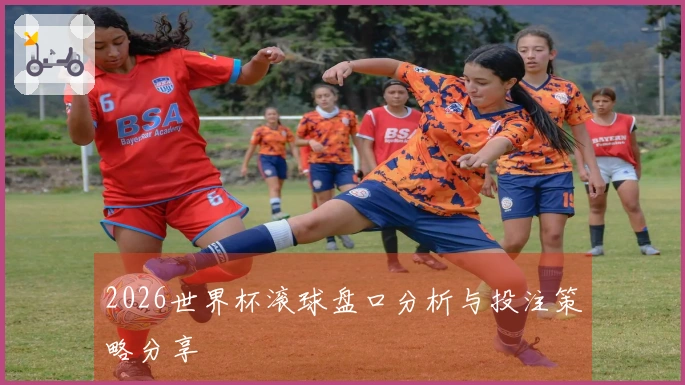 2026世界杯滚球盘口分析与投注策略分享