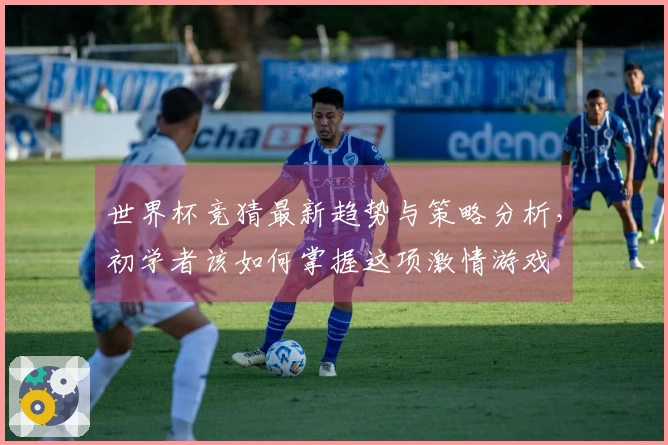 世界杯竞猜最新趋势与策略分析，初学者该如何掌握这项激情游戏